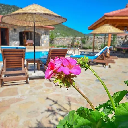 Villa Havva *